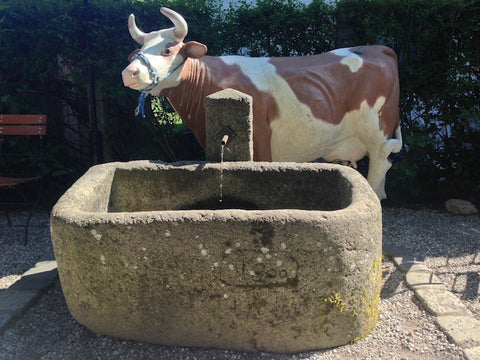 Sehr alter Brunnen für den Gasthof zum Ochsenwirt in Oberaudorf