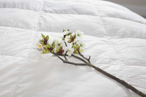 Cotton branch layed on a duvet | scooms