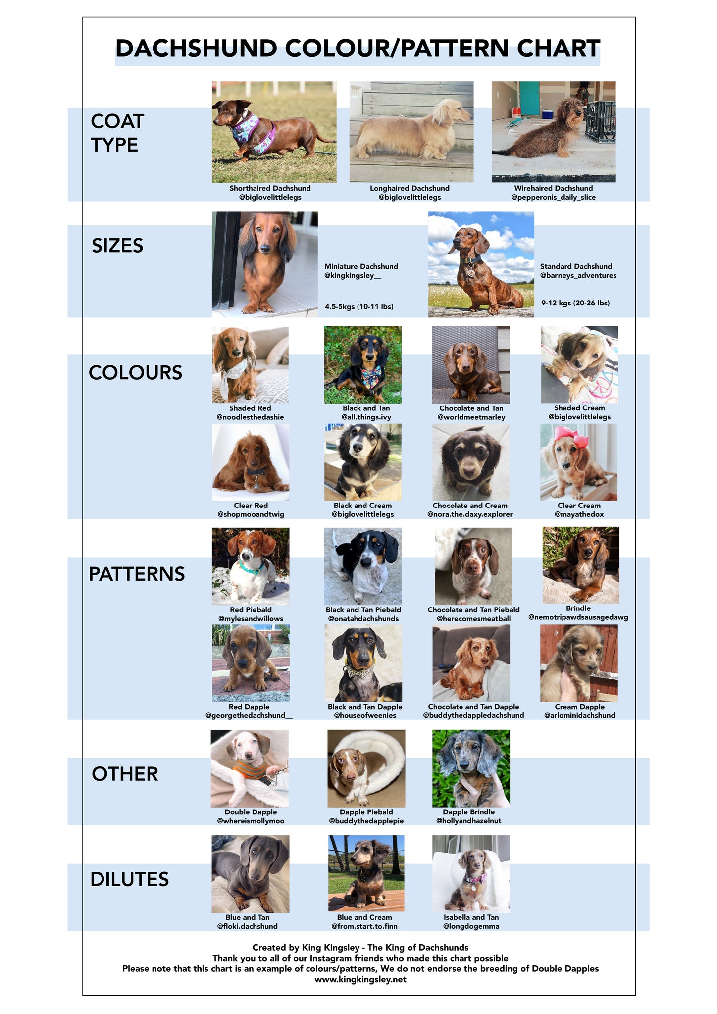 Dachshund Coat and Pattern Chart