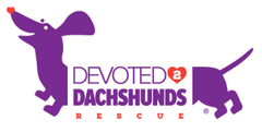 Devoted 2 Dachshund Rescue