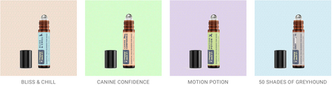 Aromatherapy Essential Oils