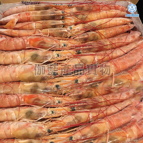 阿根廷紅蝦刺身 Argentine Langostinos