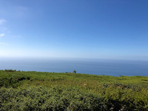 Big Sur, California