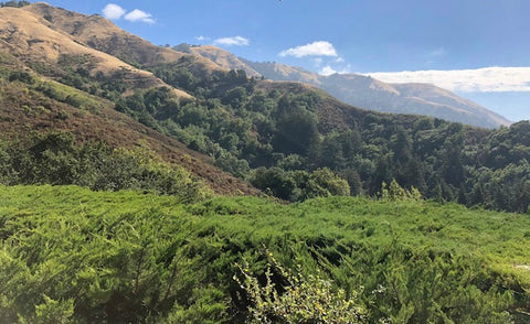 Big Sur, California