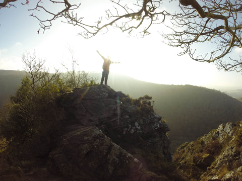 Hiking in the sun in a forest