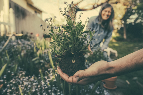 People holding plants in a garden