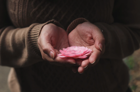 person holding flower