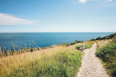 Beach side trail