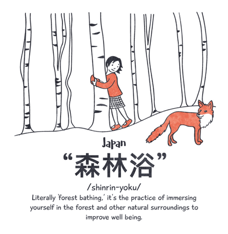 Girl in the woods with a fox