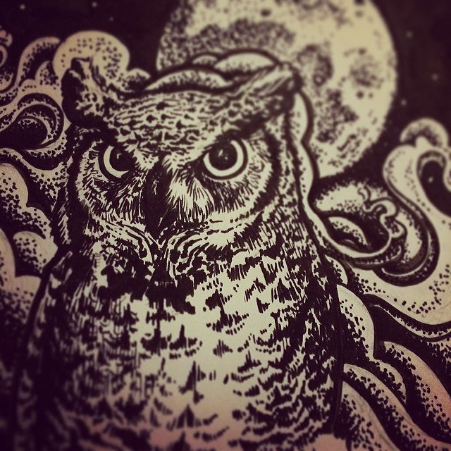 owl illustration by alexandria noel