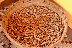 Freshly harvested turmeric 