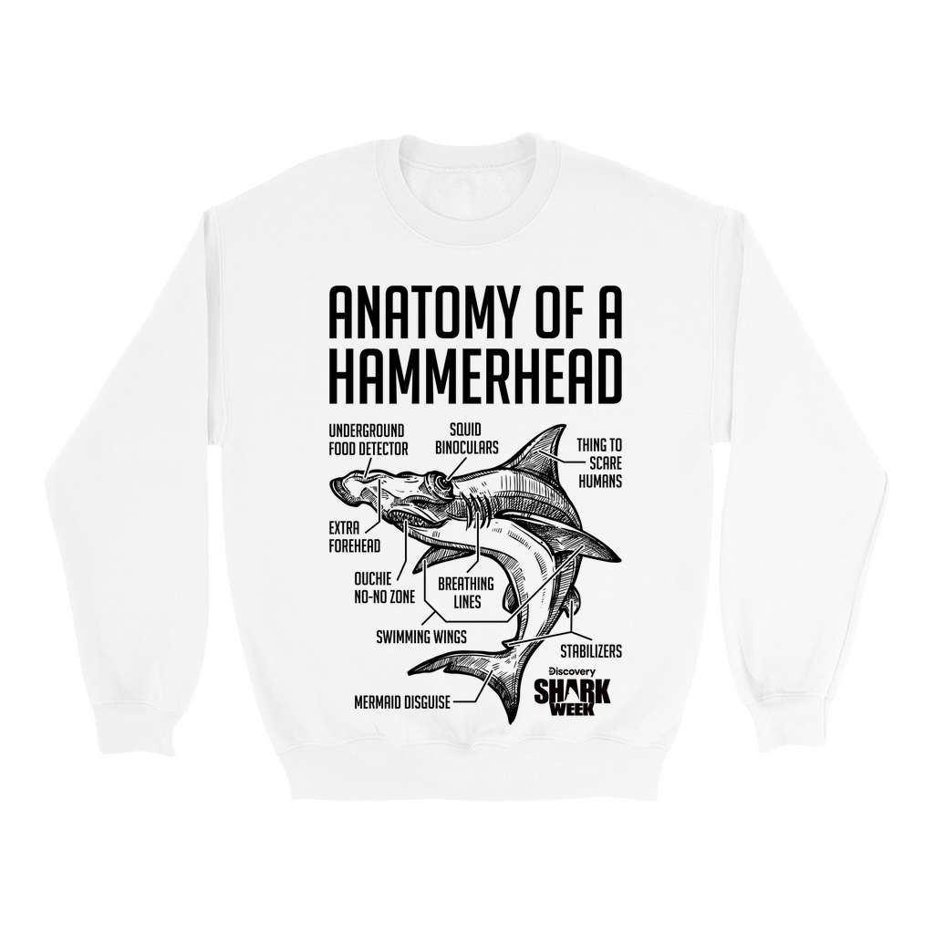 anatomy-of-a-hammerhead-crewneck-discovery-store