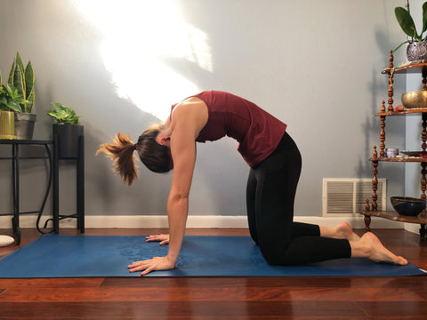 girl does cat pose on yoga mat