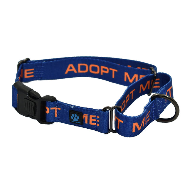 Martingale with leash set option Syracuse Orangeman University Dog Collar