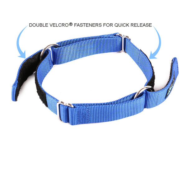 Pas op metro room Day Care Velcro Play Collars (6 Pack) | Max and Neo