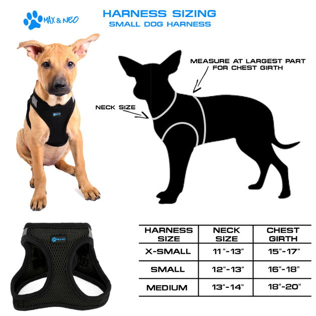Nanu Small Dog Harness | Max and Neo