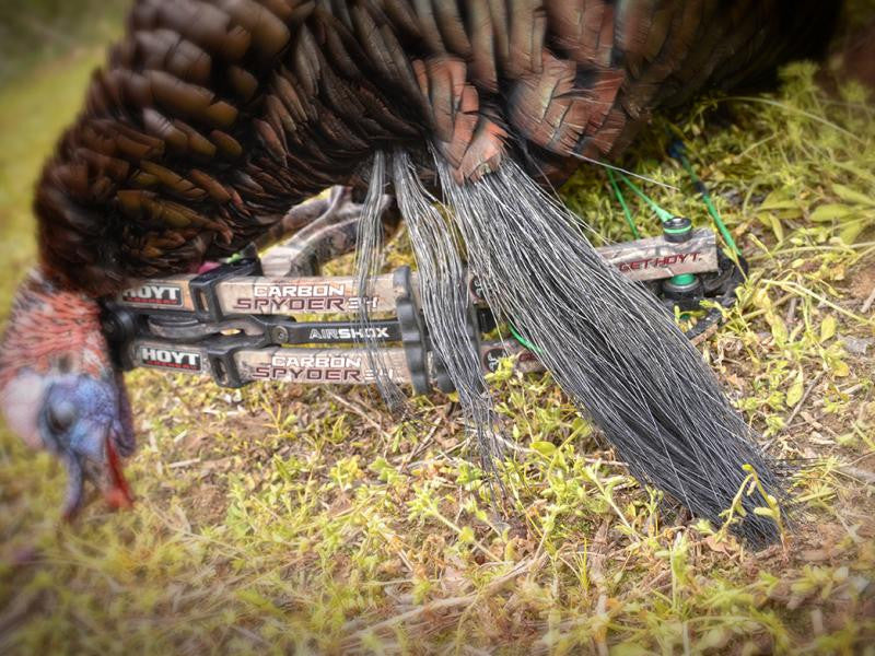 Bowhunting gobblers