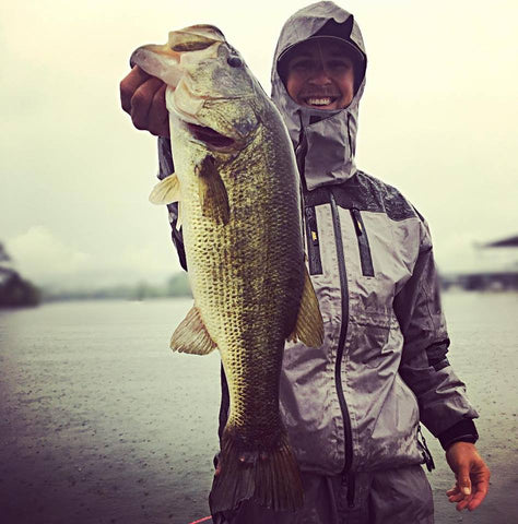 Lake Guntersville Shad Spawn