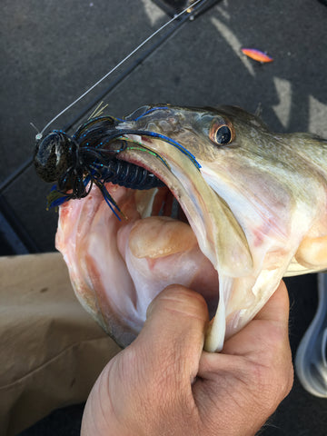 Tightlines Jig Fishing