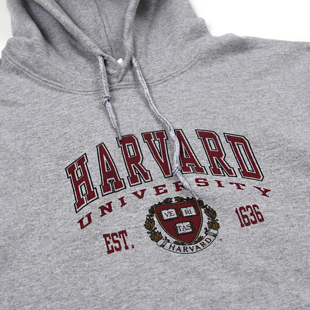 harvard hoodie grey