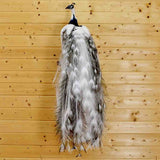Taxidermied Peacock for Sale