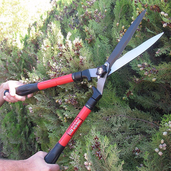 hedge clippers