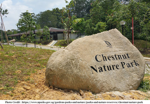 The Chestnut Nature Park