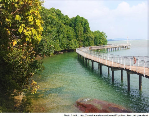 Pulau Ubin Beach, Singapore