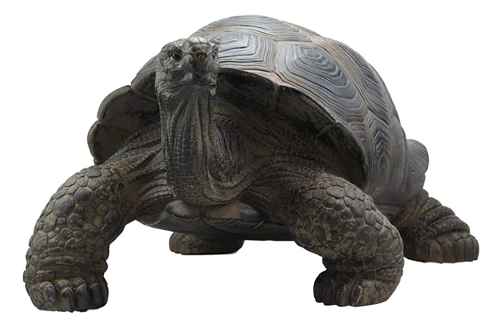 tortoise tortue reptile galapagos lifelike ebros tortoises ebrosgift greeter terre