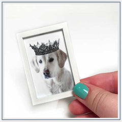 All Things Miniature Fizzy Pop Designs Royal Dog Print