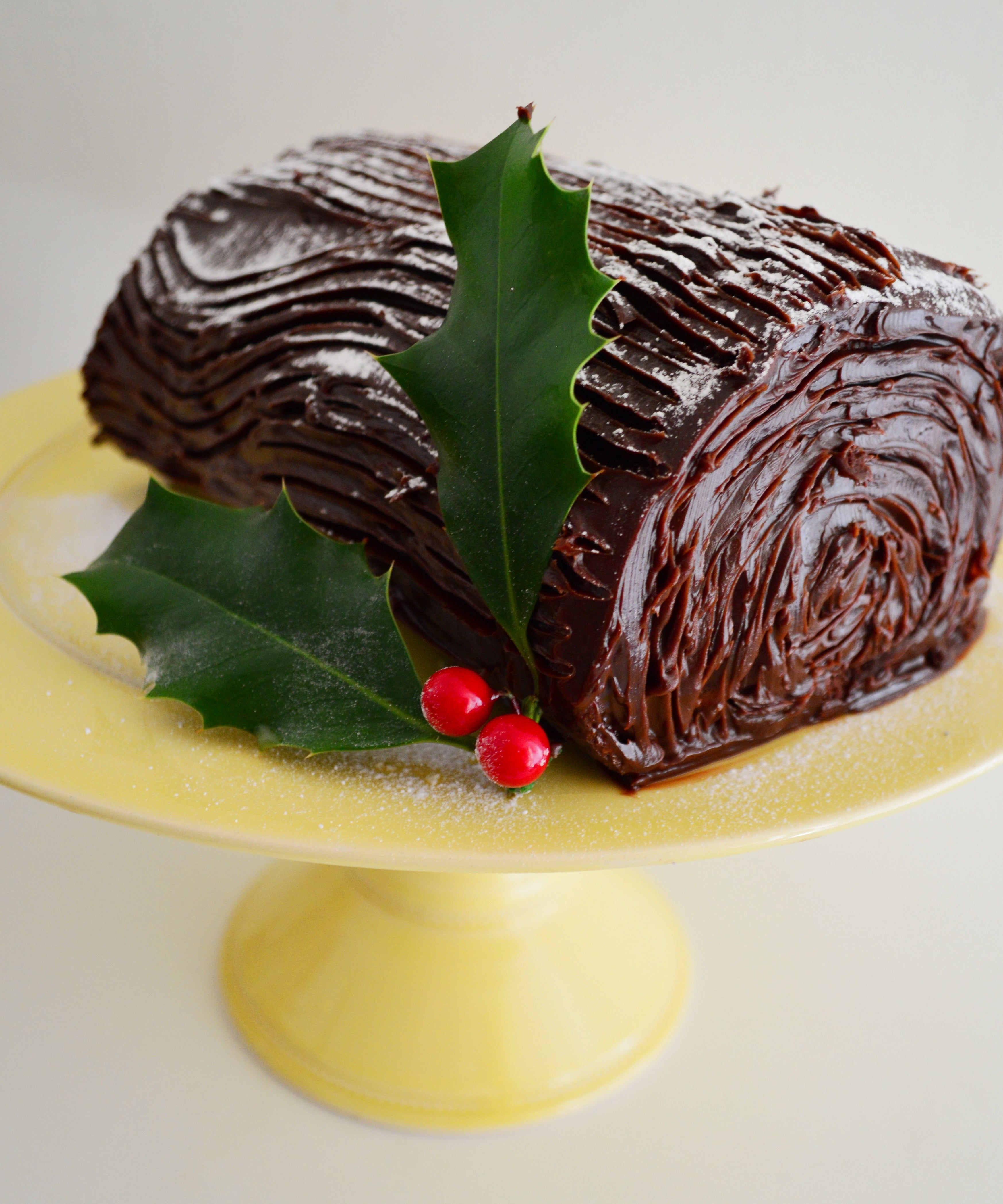 Chocolate log dessert for winter