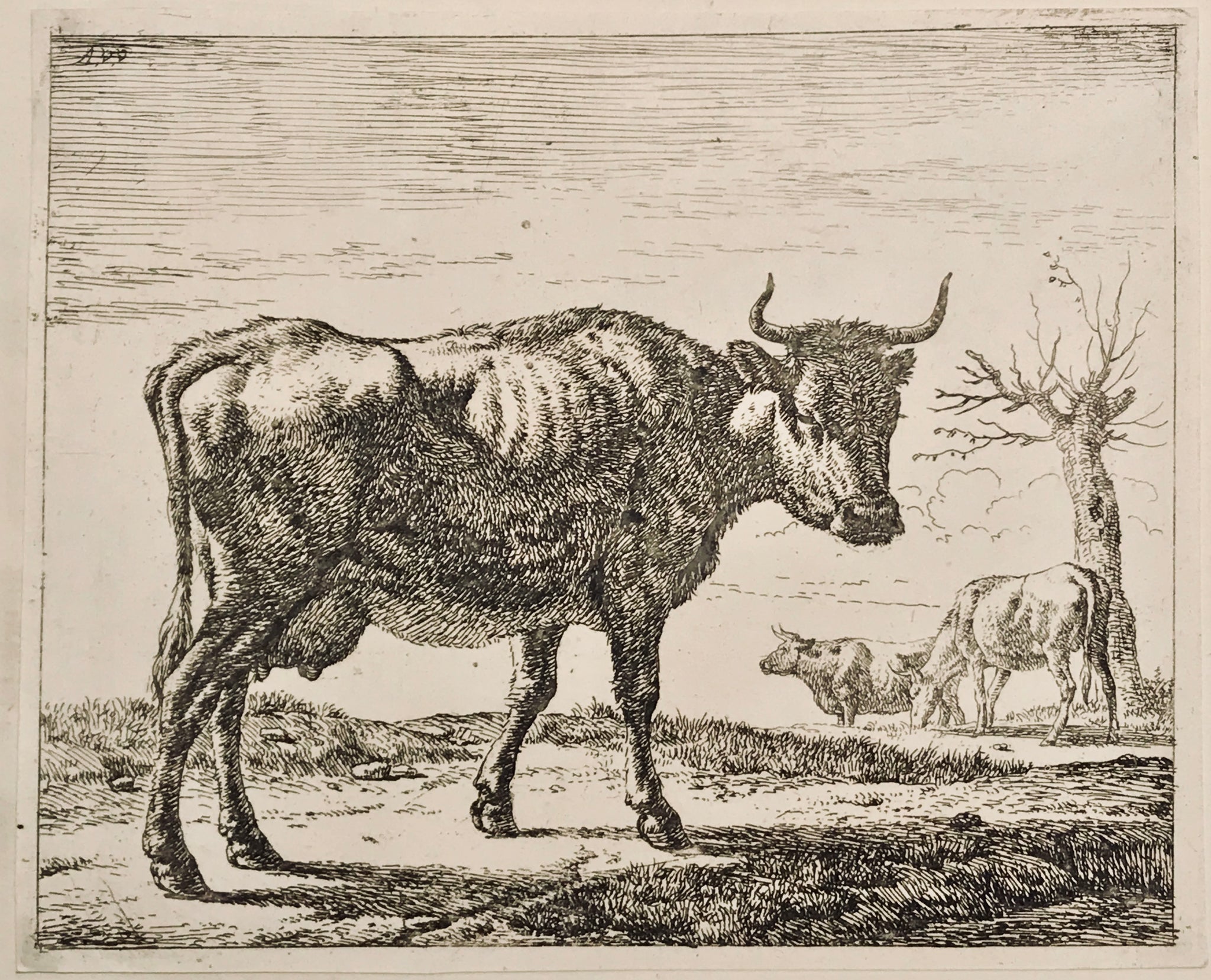 Adriaen van de Velde, Old Master Print 1650-1672 Three Cows