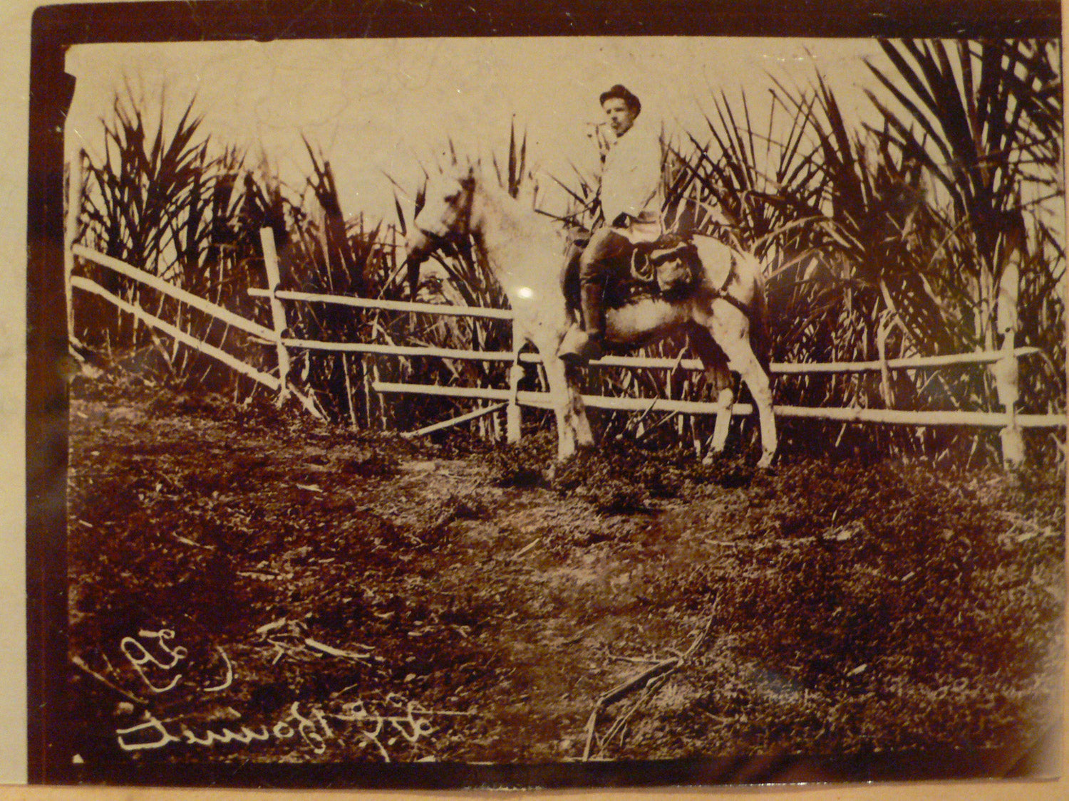 Grave of Paul Gauguin buried on island of Hiva Oa, ATUONA, FRENCH POLYNESIA 