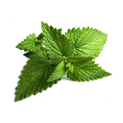 Peppermint Oil