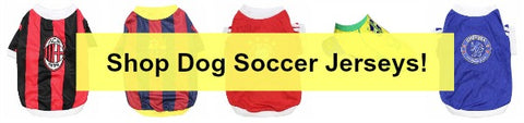 Soccer Jerseys for Dogs