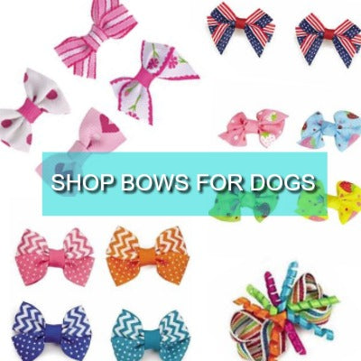 bows for dogs