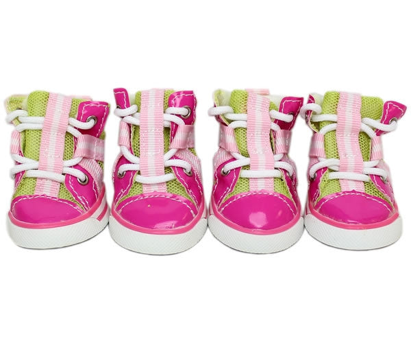 Converse Dog Shoes | Pink Converse Dog 