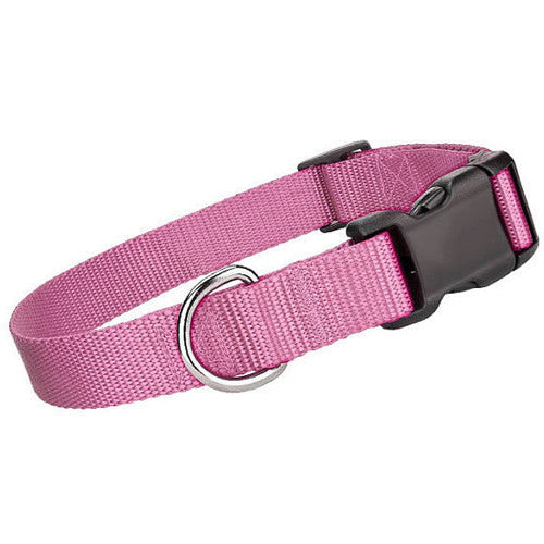 small pink dog collar