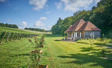 theenglishwinecollection wiston estate