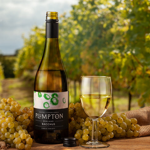 Plumpton Wine college English Vineyard Interview By The English Wine Collection