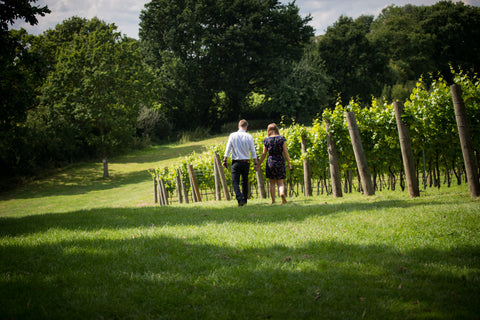 Chapel Down English Vineyard 