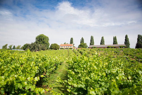 Three choirs the english wine collection