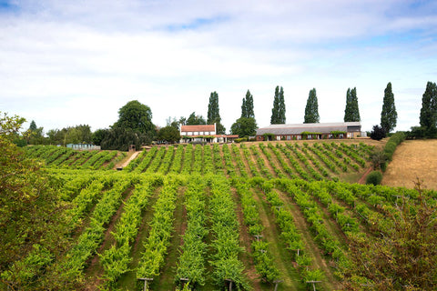 Three Choirs English Vineyard The English Wine Collection