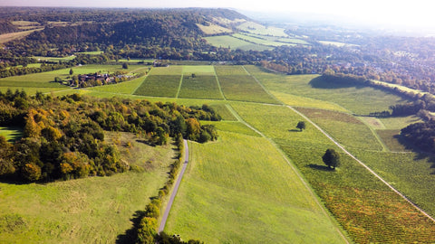 Denbies vineyard english wine the english wine collection