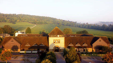 the english wine collection denbies
