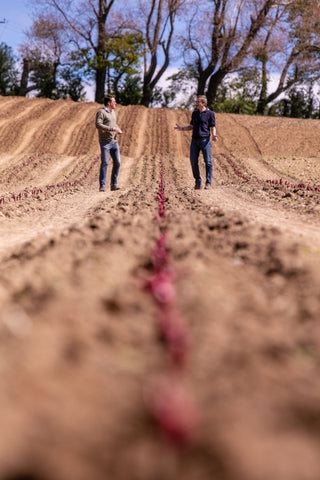 Domaine Evremond - Fossil in the vineyard english wine 