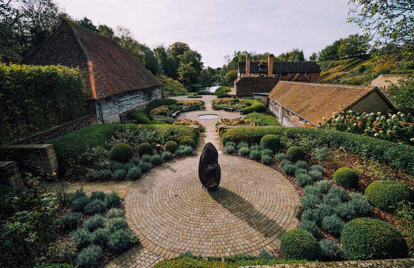 Nyetimber vineyard