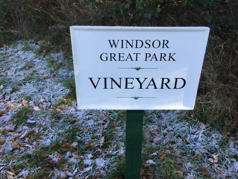 Windsor great park english sparkling wines 