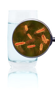 e coli ecoli in water
