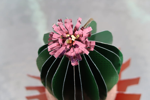 How To Make Rinea Foiled Paper Cactus by Roni Johnson